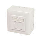 CAT6a UTP / STP utanpåliggande låda, elfenben